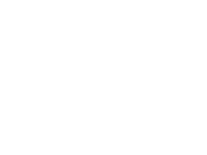 Palace-Logo-white-300x225